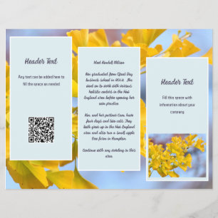 Gingko Business Logo Folded Brochure