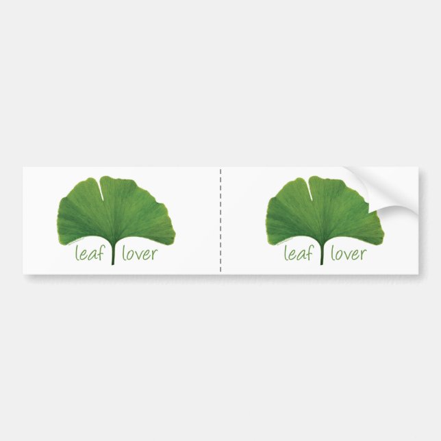 Gingko Leaf Bumper Sticker (Front)