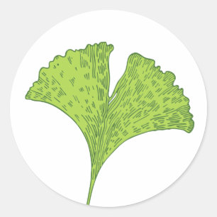Gingko Leaf Classic Round Sticker