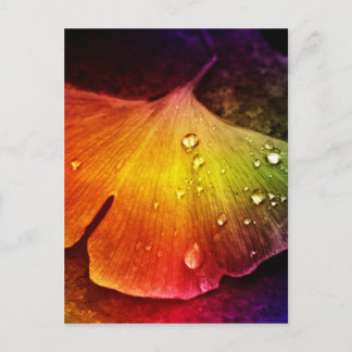 Gingko leaf multicolored by Tutti Postcard