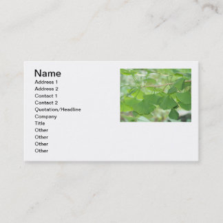 Gingko leaves on business card