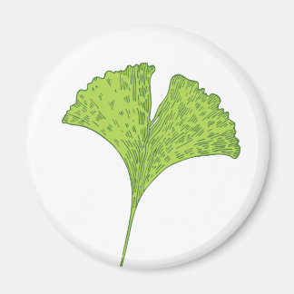Gingko Magnet