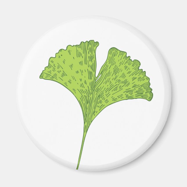 Gingko Magnet (Front)