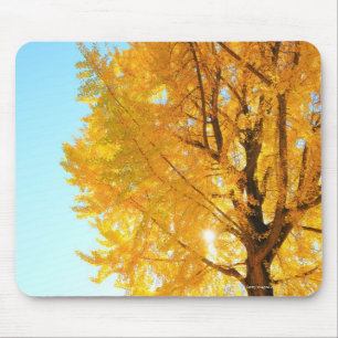 Gingko Tree, Nagano Prefecture, Japan Mouse Mat