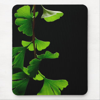 Ginkgo_Biloba_Leaves_-_Black_Background Mouse Mat