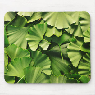 ginkgo biloba tree leaf nature plant texture mouse mat