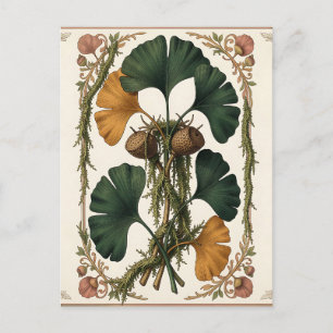Ginkgo Leaf Acorn Botanical Framed Postcard
