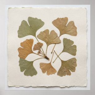 Ginkgo Leaf Botanical Poster