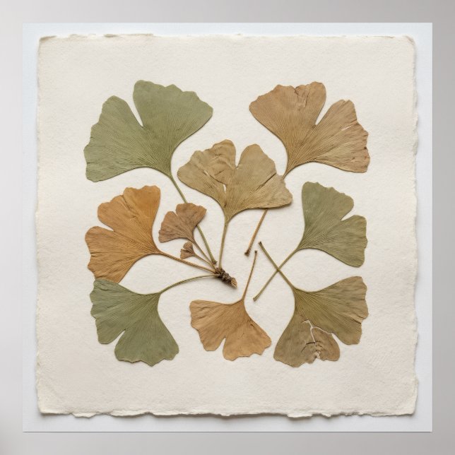 Ginkgo Leaf Botanical Poster (Front)