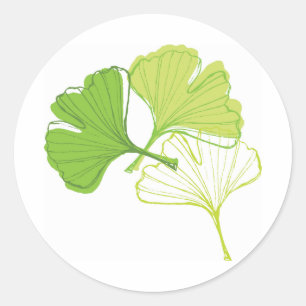 Ginkgo Leaf Classic Round Sticker