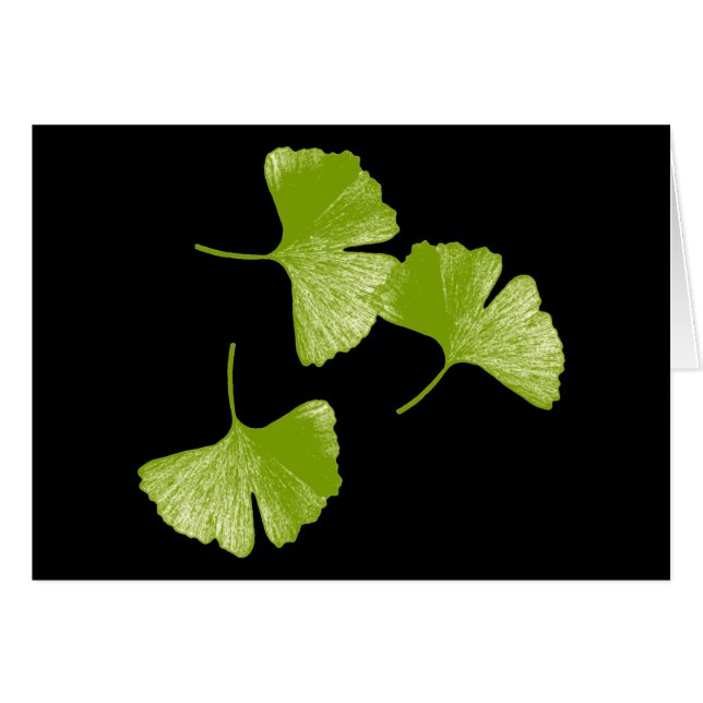 Ginkgo Leaves (Front Horizontal)