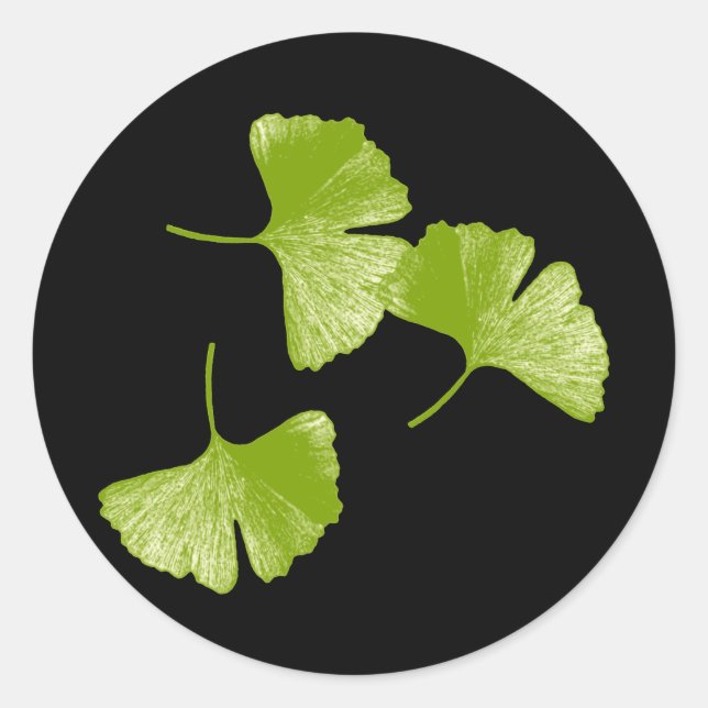 Ginkgo Leaves Classic Round Sticker (Front)