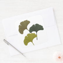 Ginkgo Leaves Customisable Background Colours