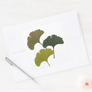 Ginkgo Leaves Customisable Background Colours  Square Sticker