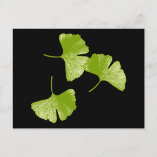 Ginkgo Leaves Postcard