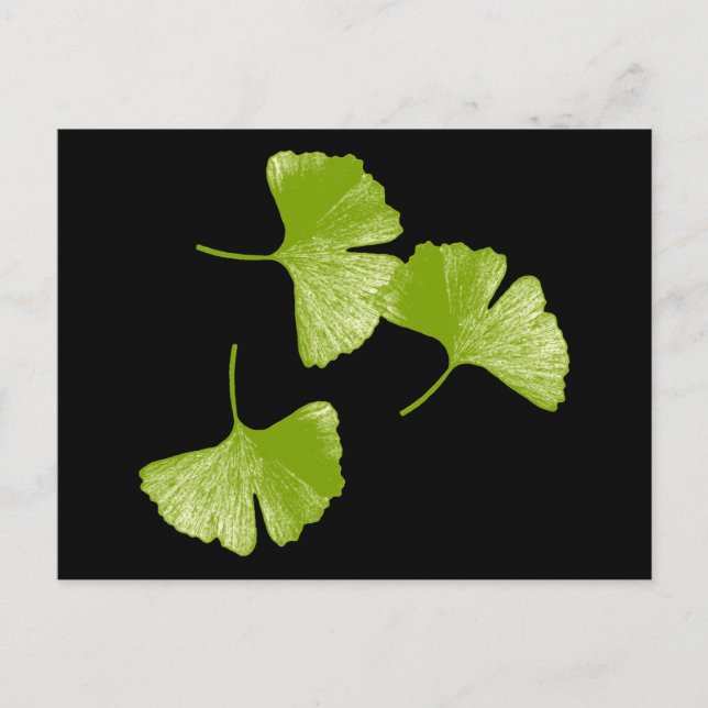 Ginkgo Leaves Postcard (Front)