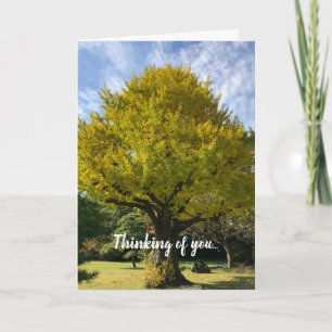 Ginkgo Tree of Golden Yellow Card