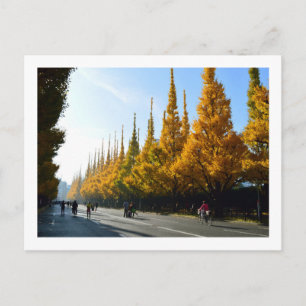 Ginkgo Trees, Icho Namiki Avenue: Tokyo Postcard