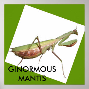 GINORMOUS MANTIS POSTER