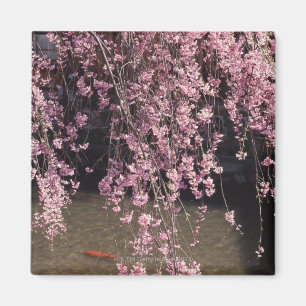 Gion, Kyoto Prefecture, Japan Magnet