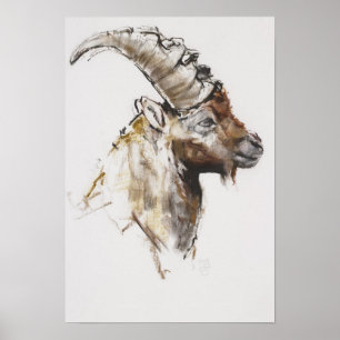 Giovanotto 2005 poster