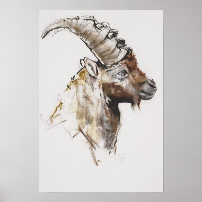 Giovanotto 2005 poster (Front)