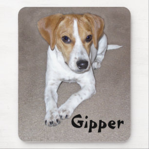 Gipper Doodle Mouse Mat