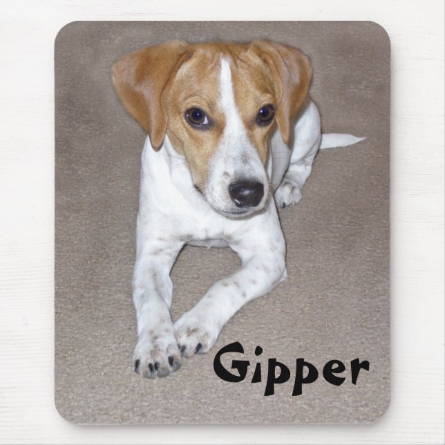 Gipper Doodle Mouse Mat (Front)
