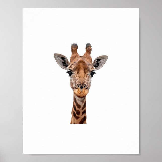 Giraffe _1 poster (Front)
