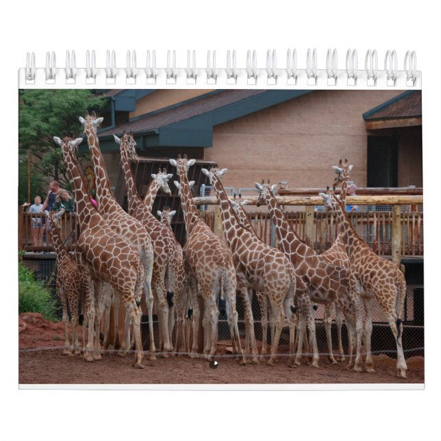 Giraffe 2022 5.5” x 7” calendar (Cover)