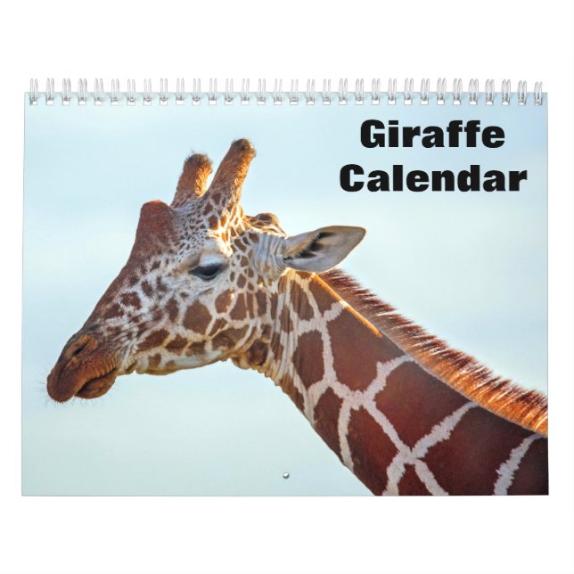 Giraffe 2027 calendar (Cover)
