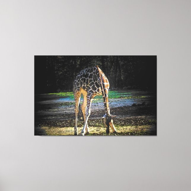 Giraffe 2Design Canvas Print (Front)
