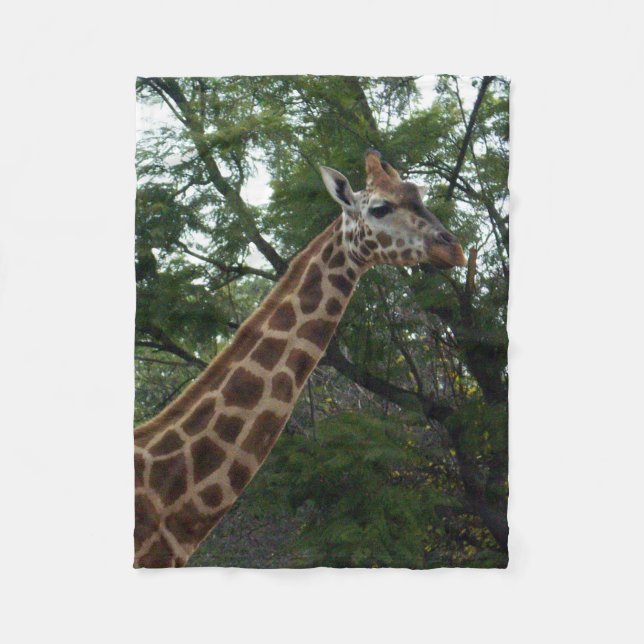Giraffe Adventure, Small Fleece Blanket (Front)