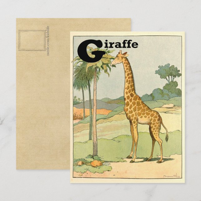 Giraffe Alphabet Animal Postcard (Front/Back)