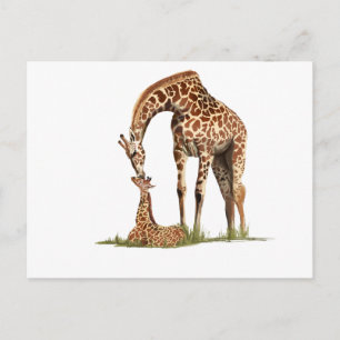 Giraffe and baby calf kissing postcard