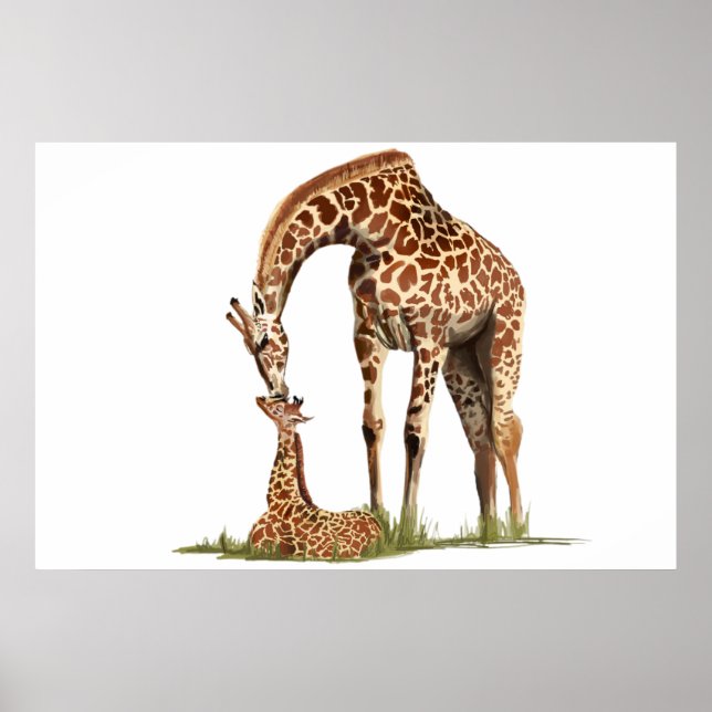 Giraffe and baby calf kissing poster (Front)