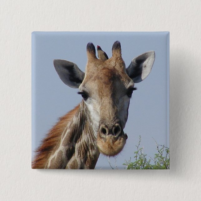 Giraffe and oxpecker Button (Front)
