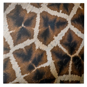 giraffe animal fur skin texture wild leather patte tile