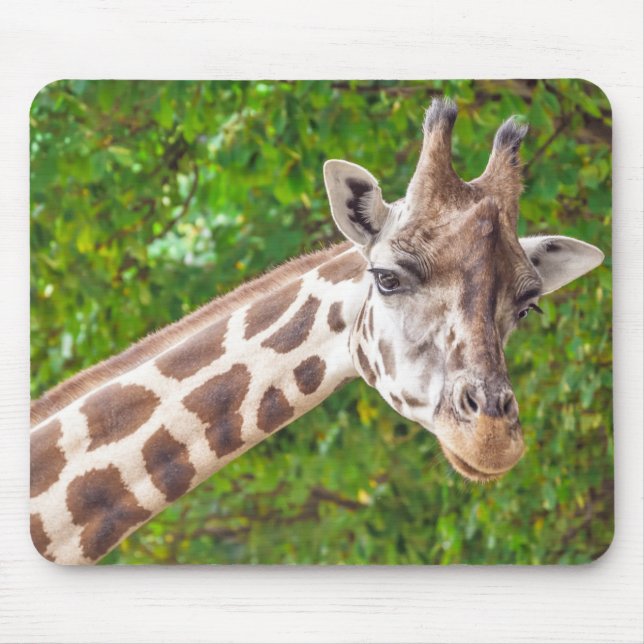 Giraffe Animal Portrait Photo Mouse Mat (Front)