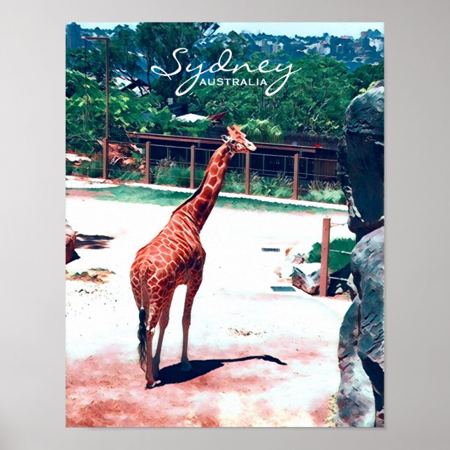 Giraffe animal Sydney Australia Poster (Front)