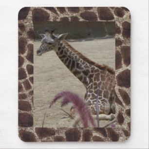 Giraffe at Rest Mouse Mat