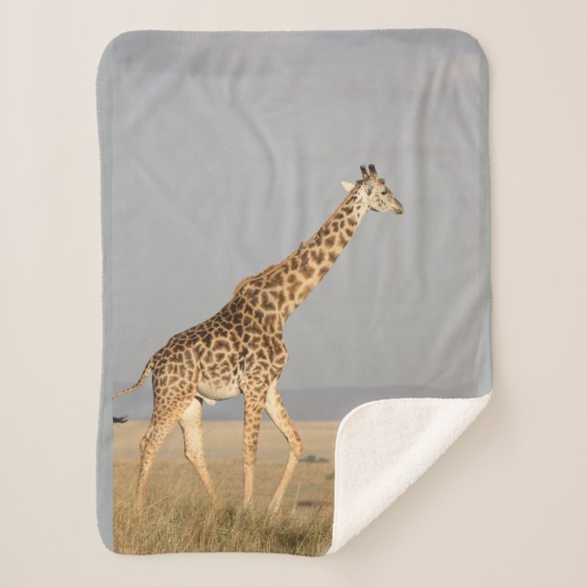 Giraffe Baby Blanket Small (Front)