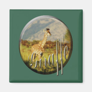 Giraffe baby wildlife safari magnets