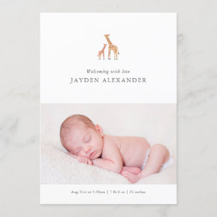 Giraffe Birth Announcement