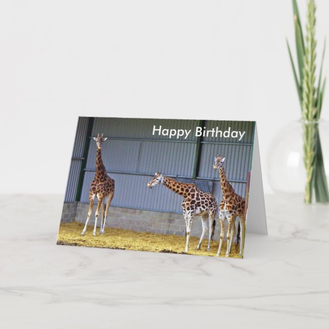 Giraffe Birthday Card (Front)