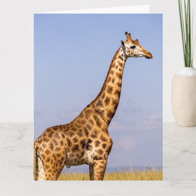 GIRAFFE BIRTHDAY GREETING CARD (Front)