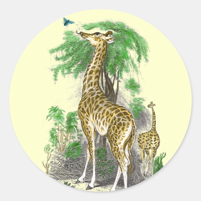 Giraffe Birthday Stickers (Front)