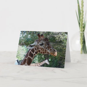 Giraffe Blank Inside Greeting Card
