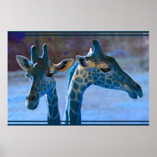 Giraffe Blue Poster -36x24 -smaller available