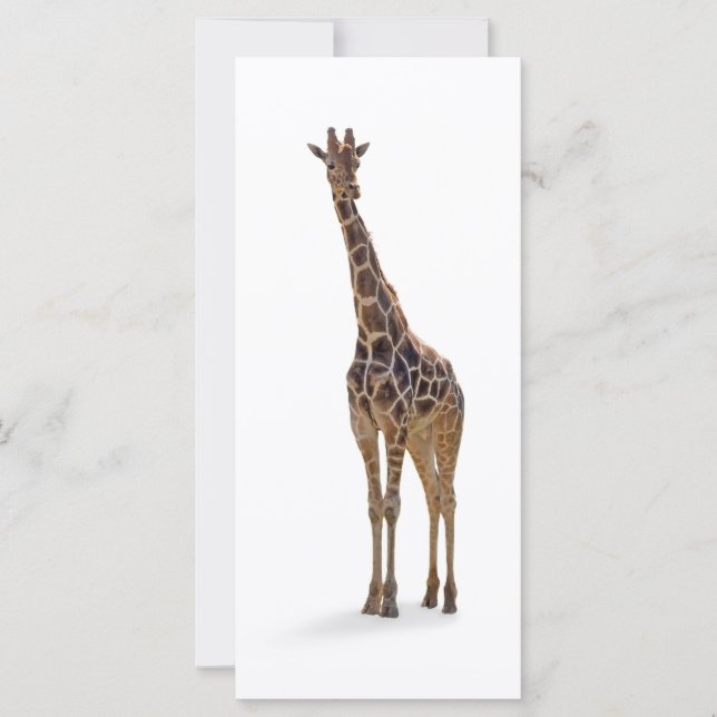 Giraffe Bookmark / Rackcard (Front)